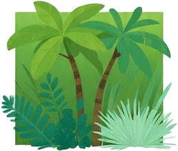 a set of tropical plants and plants 1.jpg